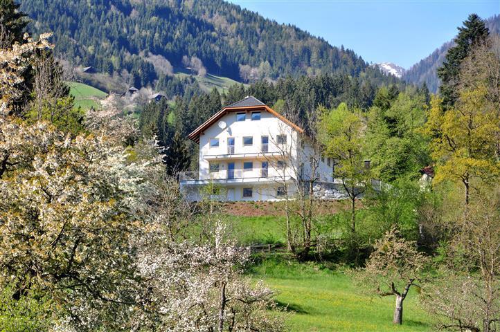 Haus Pflaum Apartment Dellach im Drautal Екстериор снимка
